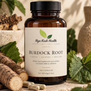 Home burdock root