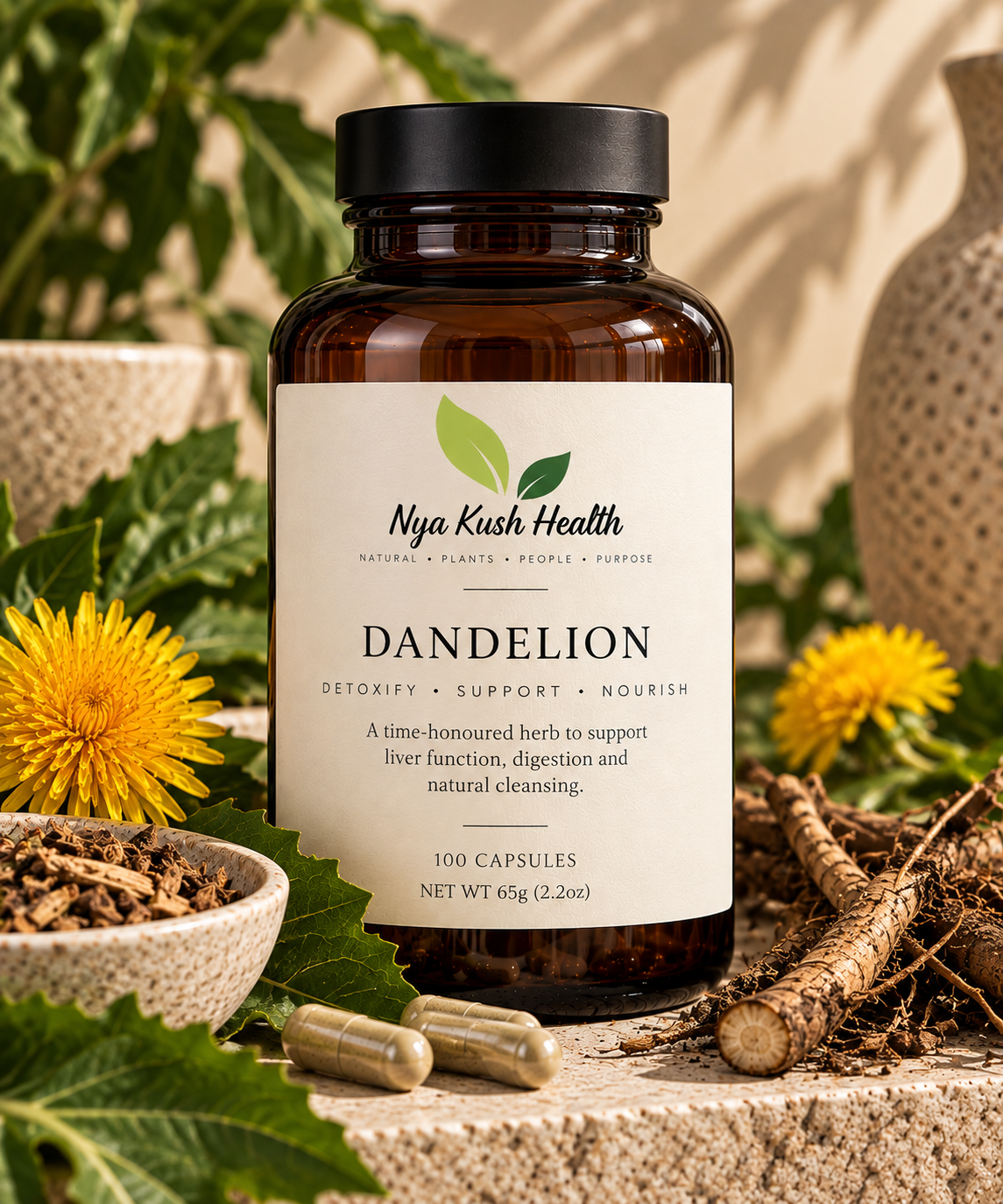 dandelion dandelion